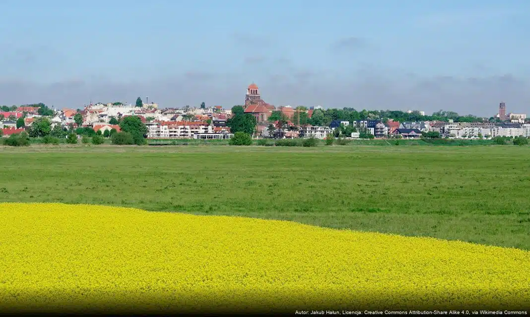 Obowiązek usunięcia śniegu z dachów w Tczewie